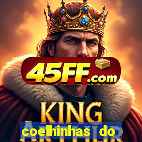 coelhinhas do brasil recife